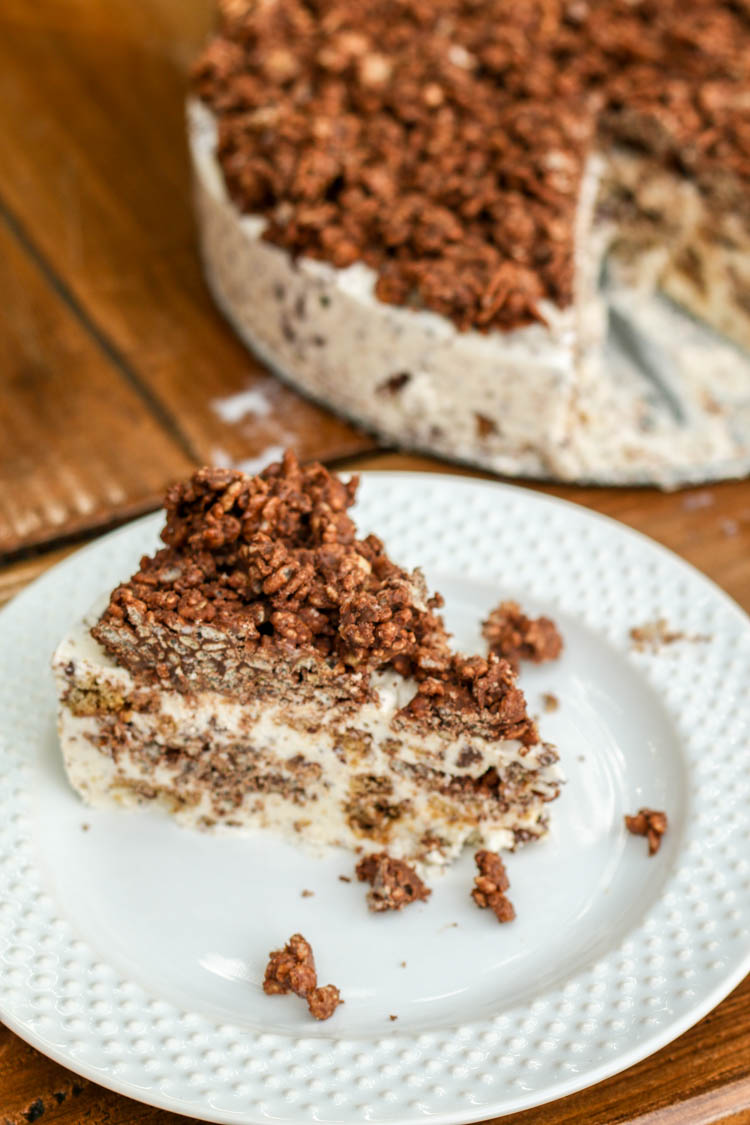 Nutella Ice Cream Cake-1