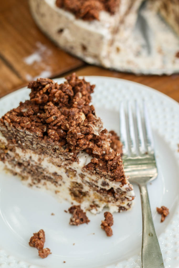 Nutella Ice Cream Cake-2